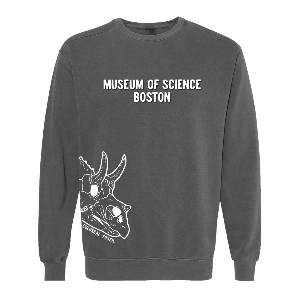 Show your love for paleontology and science with the Museum of Science Boston Colossal Fossil Crew Sweatshirt—a gray crew sweatshirt featuring “MUSEUM OF SCIENCE BOSTON” printed on the chest and a white line drawing of a triceratops skull labeled “COLOSSAL FOSSIL” on the lower left.