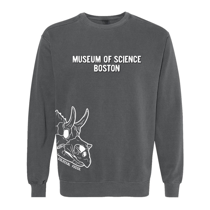 Show your love for paleontology and science with the Museum of Science Boston Colossal Fossil Crew Sweatshirt—a gray crew sweatshirt featuring “MUSEUM OF SCIENCE BOSTON” printed on the chest and a white line drawing of a triceratops skull labeled “COLOSSAL FOSSIL” on the lower left.