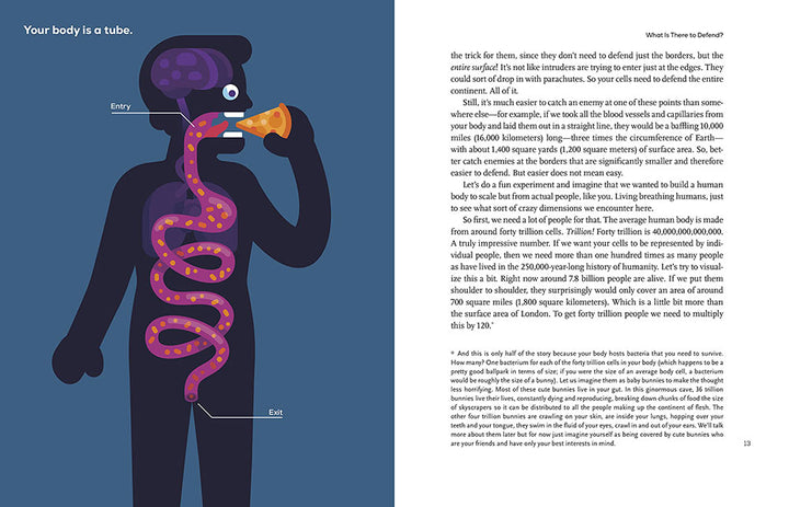 Immune: A Journey into the Mysterious System That Keeps You Alive Hardcover