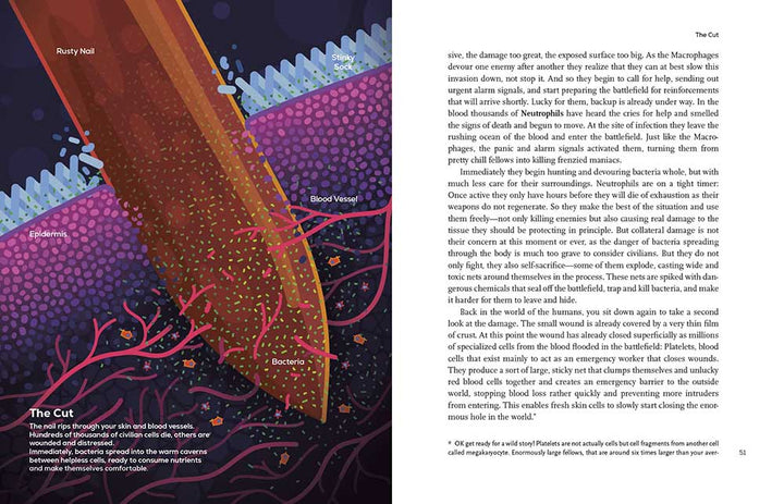 Immune: A Journey into the Mysterious System That Keeps You Alive Hardcover