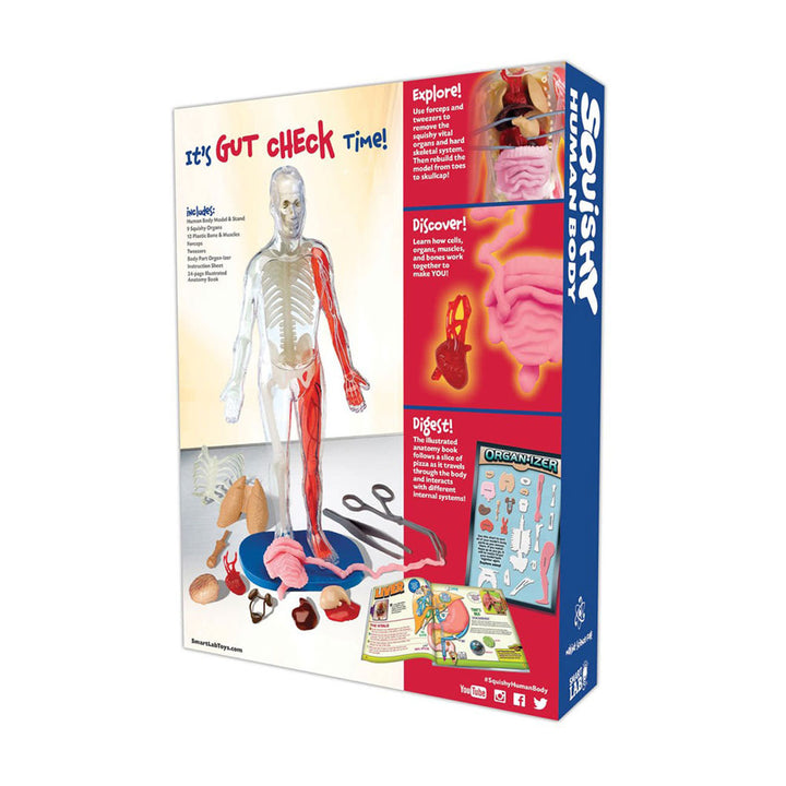 Box for the Squishy Human Body Kit showing a detailed human body model with removable organs, educational booklets, and tools. Text highlights features such as exploring, discovering, and learning about human anatomy with the interactive Squishy Human Body Kit and included anatomy booklet.