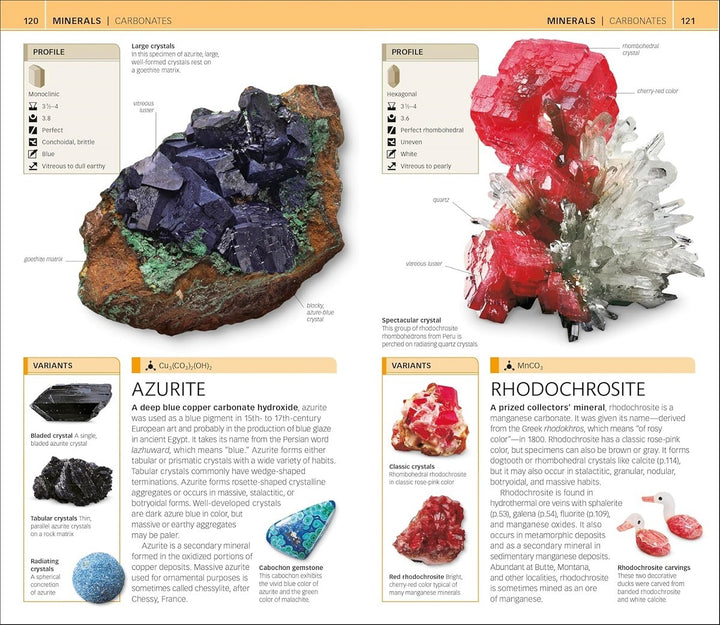 Nature Guide: Rocks and Minerals: The World in Your Hands meteorites