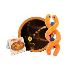 Plush DNA Toy